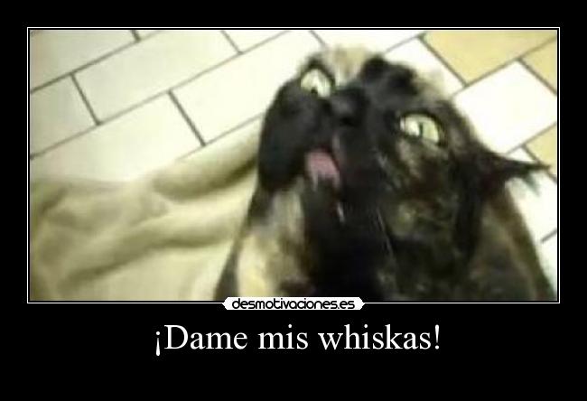 ¡Dame mis whiskas! - 