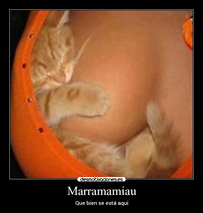 Marramamiau - Que bien se está aqui