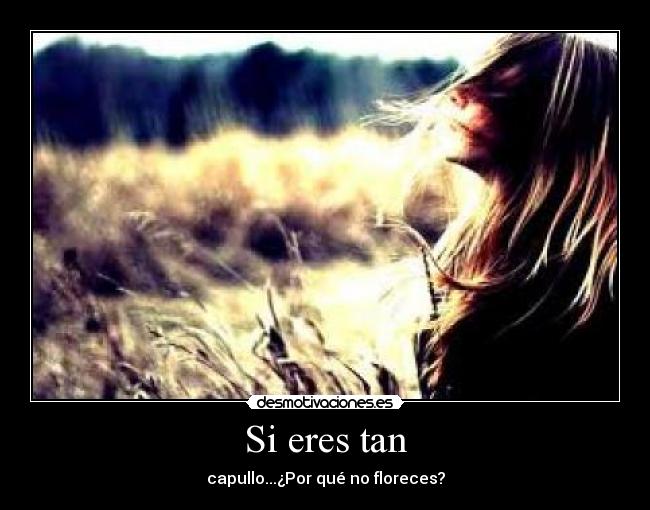 Si eres tan - 