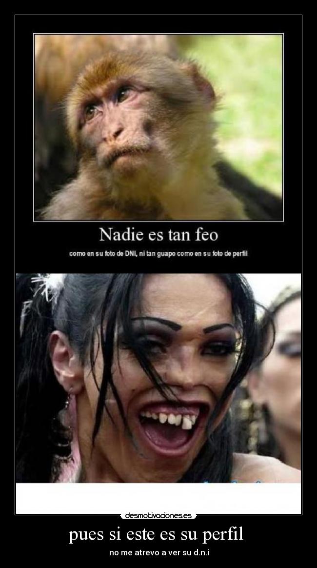 pues si este es su perfil - no me atrevo a ver su d.n.i