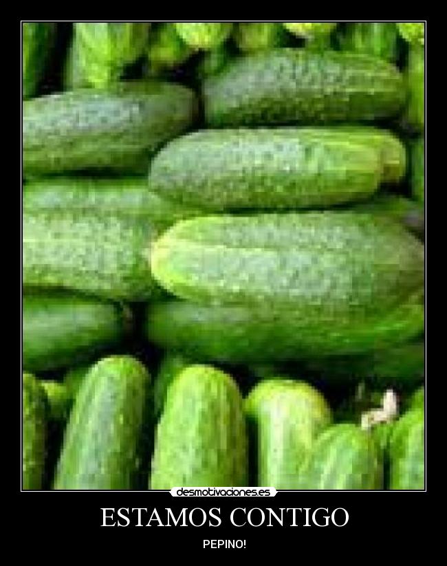 carteles pepino desmotivaciones