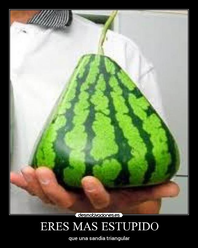 ERES MAS ESTUPIDO - que una sandia triangular