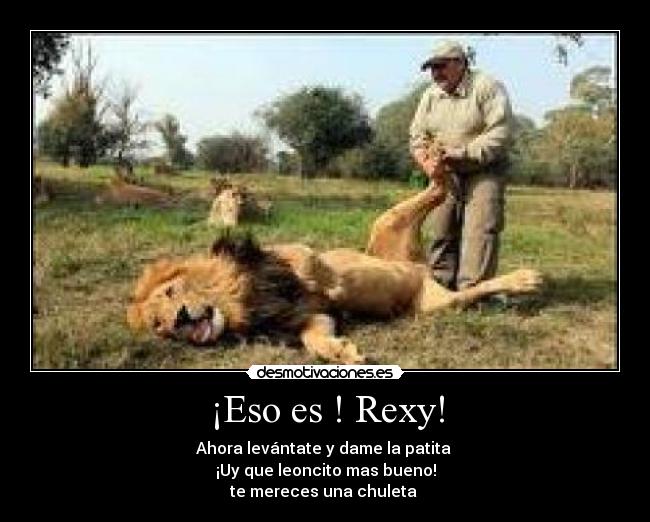 ¡Eso es ! Rexy! -