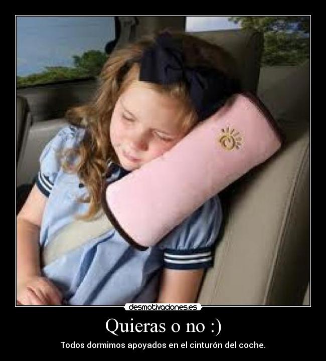 Quieras o no :) - Todos dormimos apoyados en el cinturón del coche.