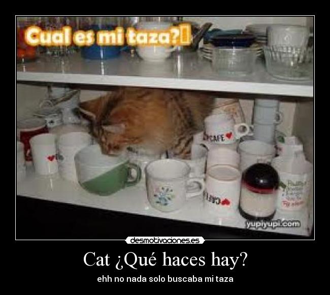Cat ¿Qué haces hay? - ehh no nada solo buscaba mi taza