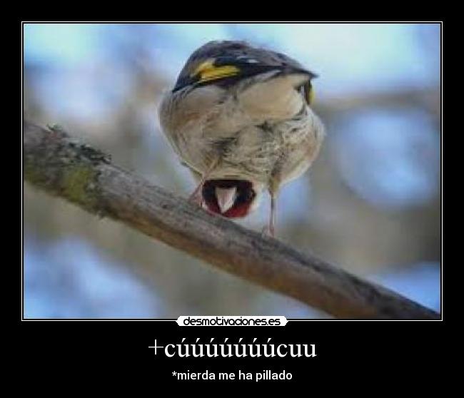 carteles colorinrama desmotivaciones