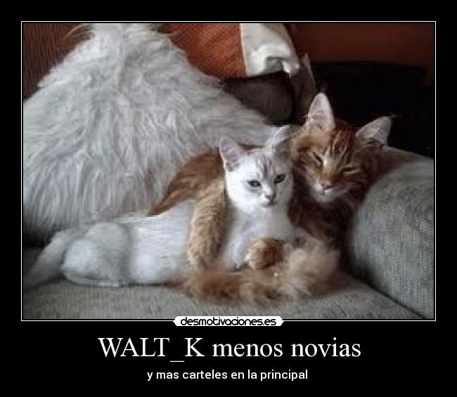 WALT_K menos novias -