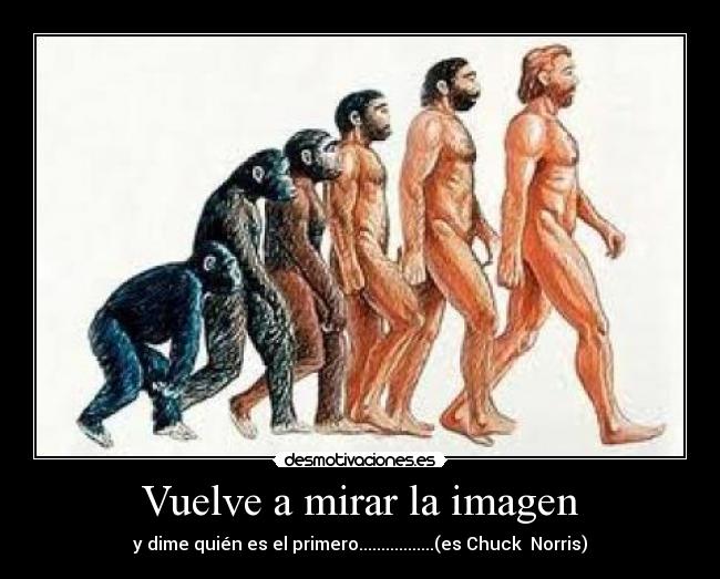 Vuelve a mirar la imagen - 