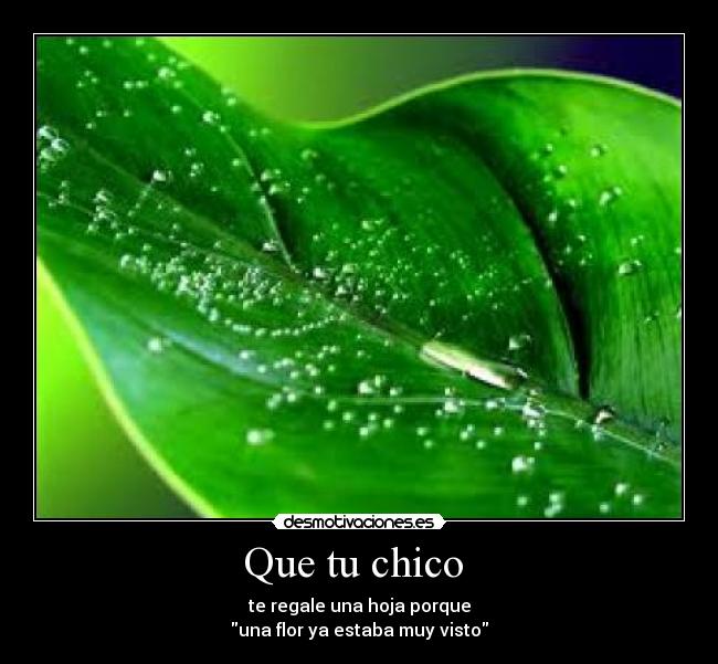 Que tu chico - te regale una hoja porque
una flor ya estaba muy visto