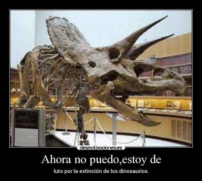 Ahora no puedo,estoy de - luto por la extinción de los dinosaurios.