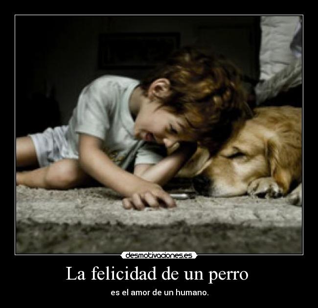 La felicidad de un perro -