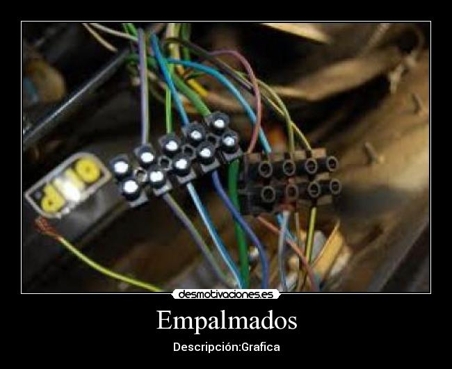 Empalmados - Descripción:Grafica