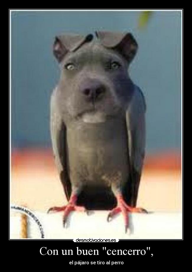 carteles tonterias aburrimiento caca sexo pene tetas accion gracioso desmotivaciones