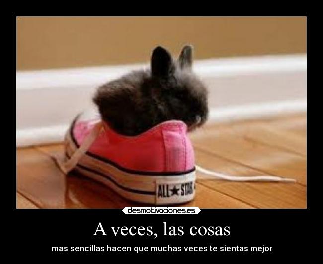 carteles conejoss desmotivaciones