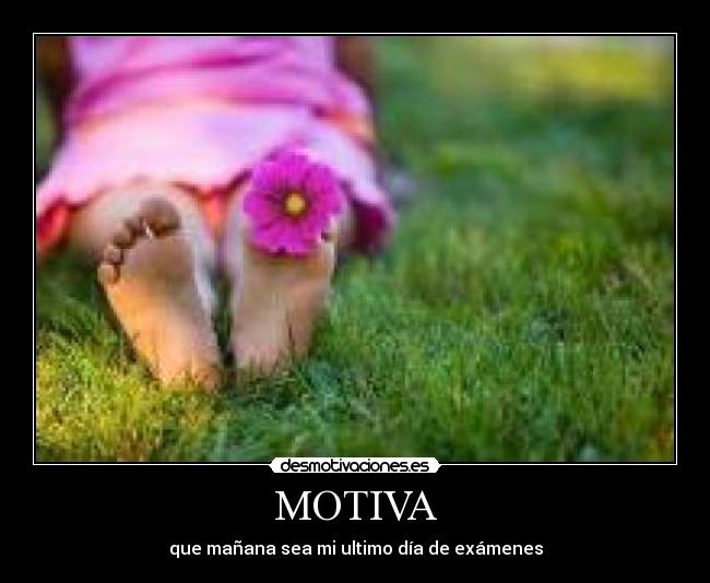 MOTIVA - 