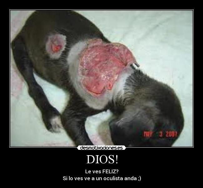 DIOS! -