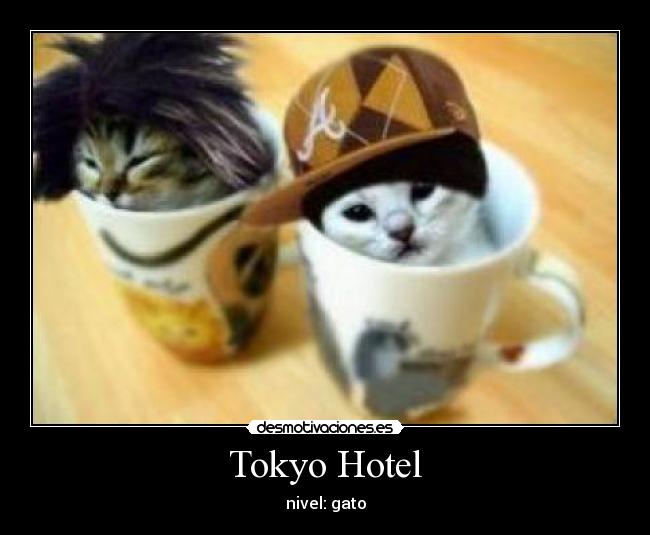 Tokyo Hotel - 
