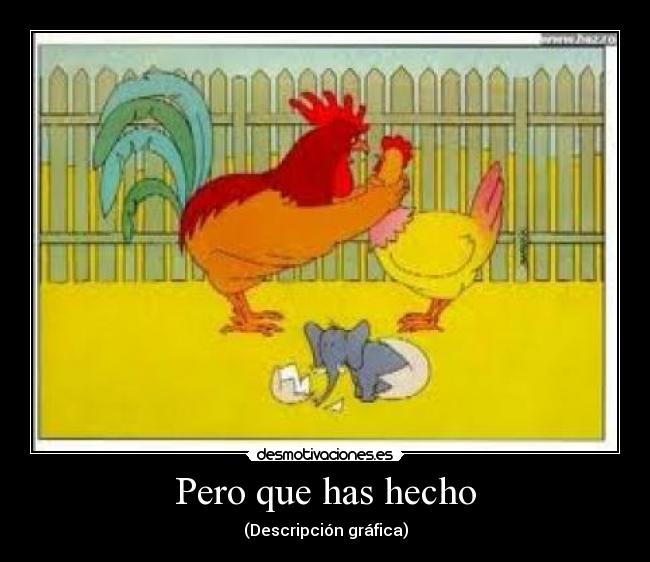 Pero que has hecho -