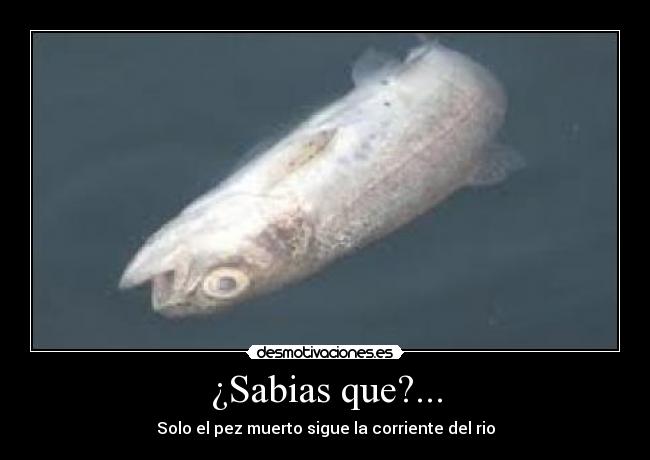 ¿Sabias que?... -