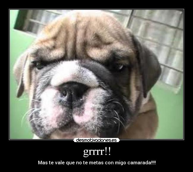 grrrr!! - Mas te vale que no te metas con migo camarada!!!!