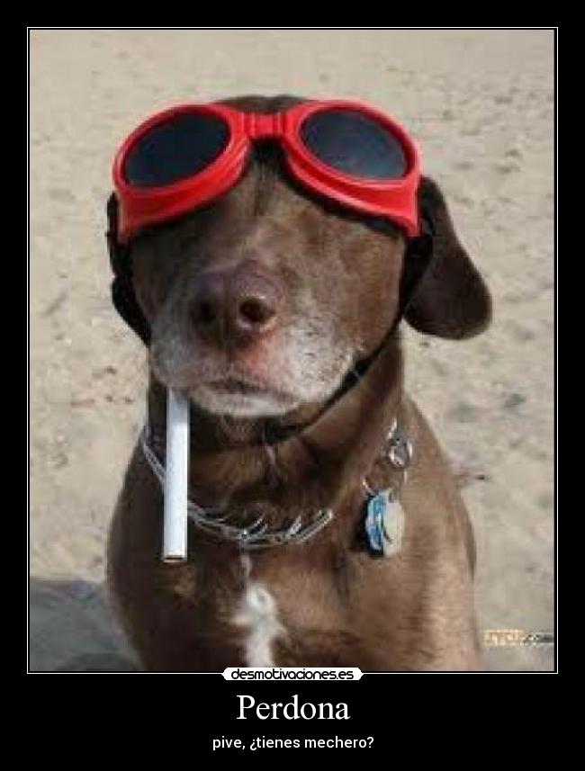 Perdona - pive, ¿tienes mechero?