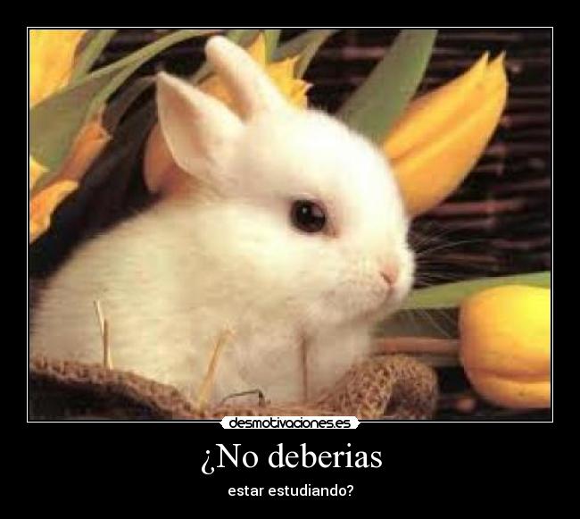 ¿No deberias - 