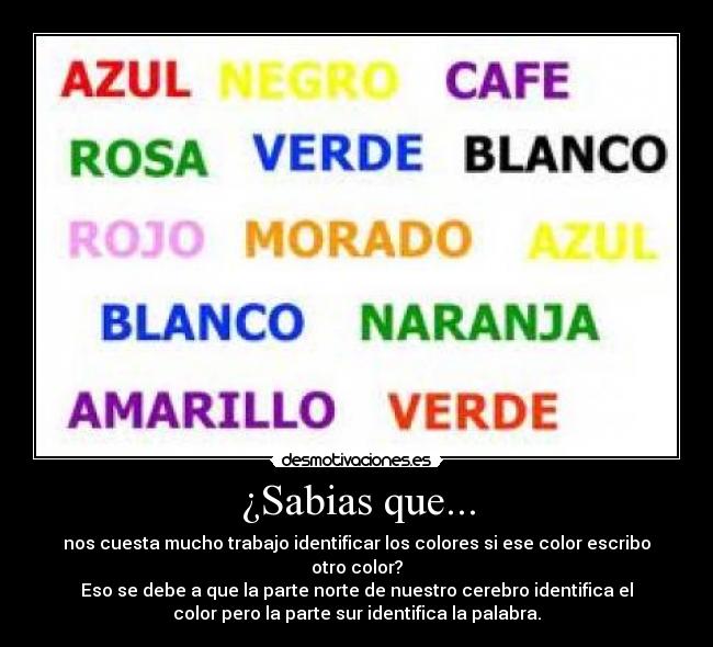 ¿Sabias que... - nos cuesta mucho trabajo identificar los colores si ese color escribo
otro color?
Eso se debe a que la parte norte de nuestro cerebro identifica el
color pero la parte sur identifica la palabra.