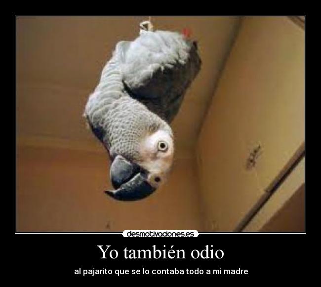 Yo también odio - al pajarito que se lo contaba todo a mi madre