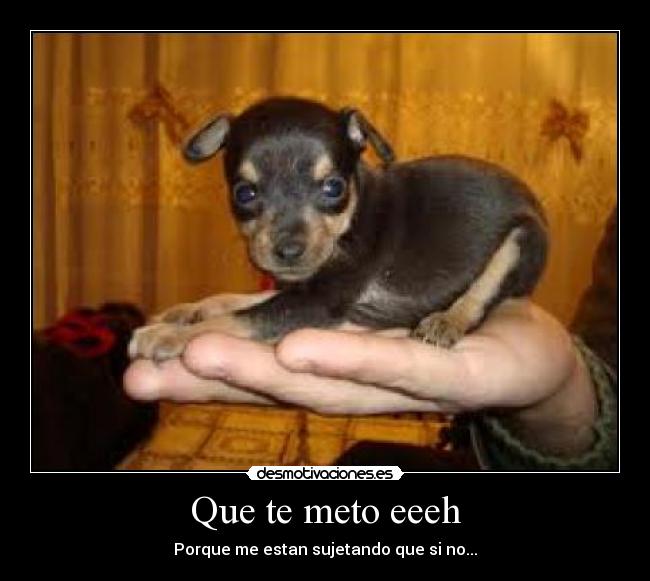 Que te meto eeeh -