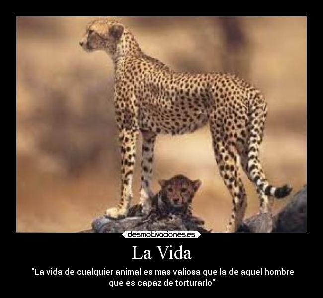 La Vida - La vida de cualquier animal es mas valiosa que la de aquel hombre
que es capaz de torturarlo