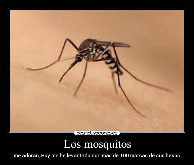 Los mosquitos -