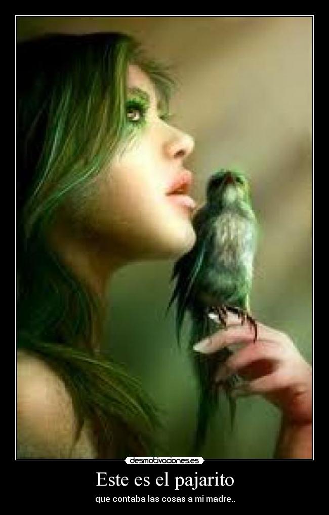 Este es el pajarito -