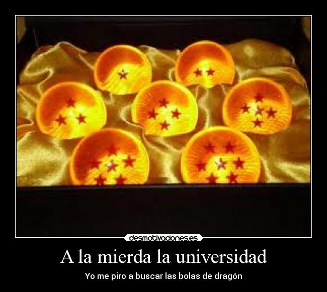A la mierda la universidad - Yo me piro a buscar las bolas de dragón