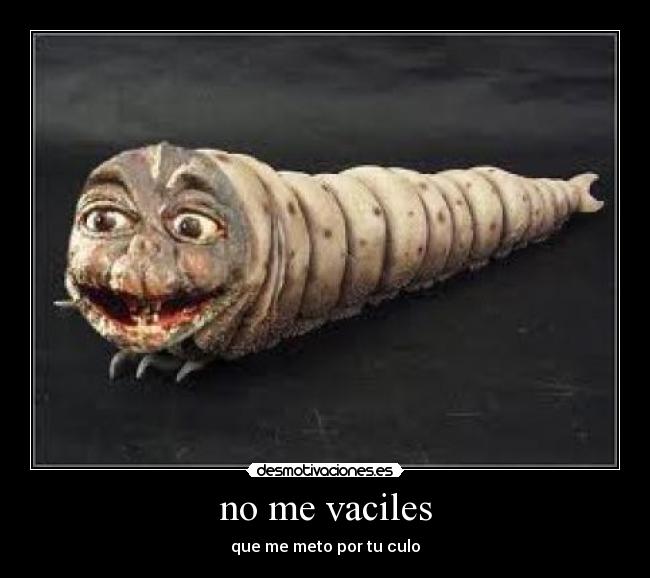 no me vaciles - 