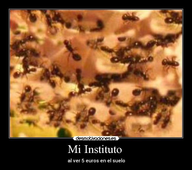 Mi Instituto  - 