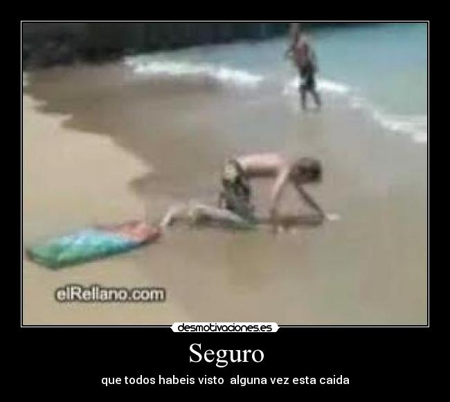 Seguro - que todos habeis visto alguna vez esta caida