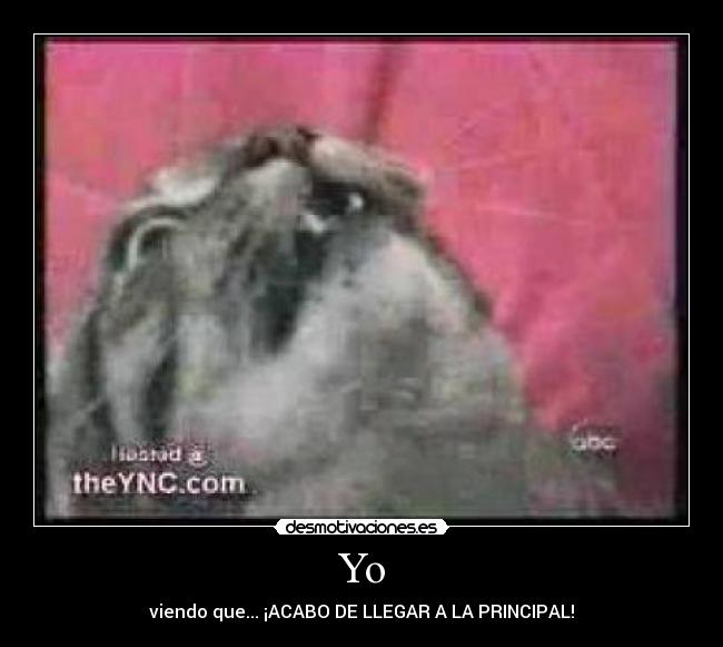 Yo - viendo que... ¡ACABO DE LLEGAR A LA PRINCIPAL!