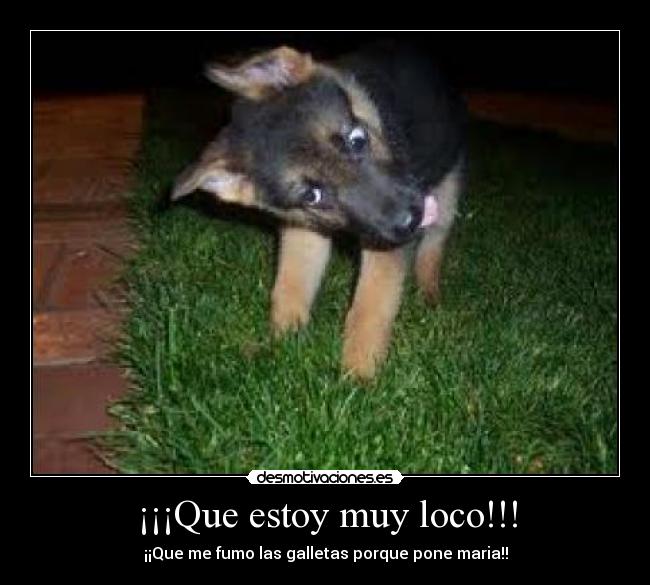 carteles loco desmotivaciones