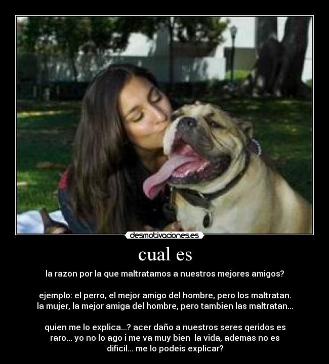 cual es - 