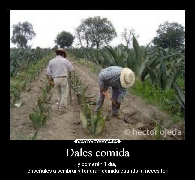 Dales comida - 