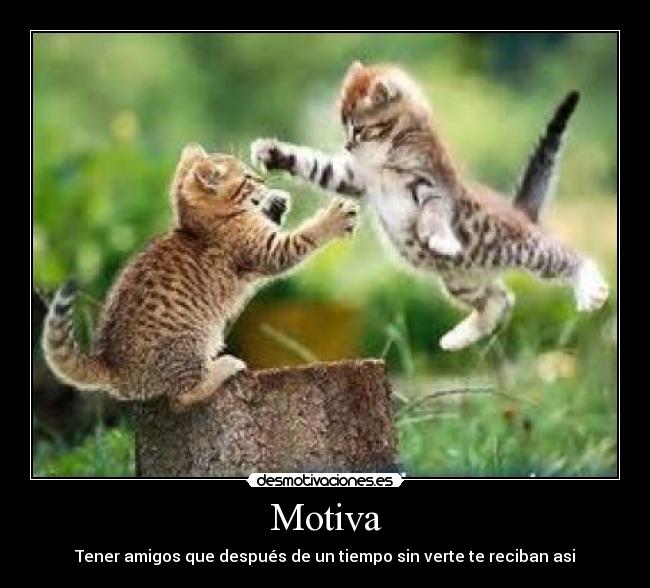 Motiva -