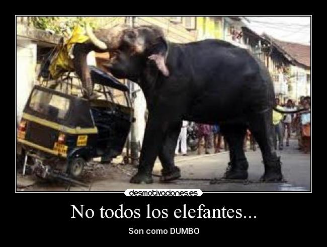 No todos los elefantes... -