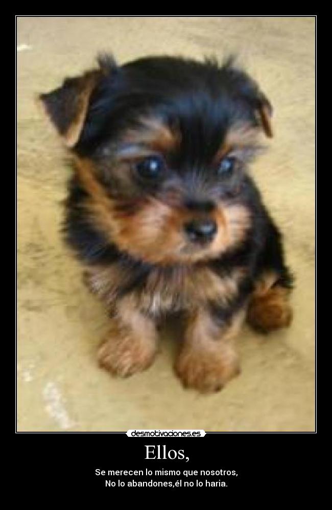 Ellos, - Se merecen lo mismo que nosotros,
No lo abandones,él no lo haria.
