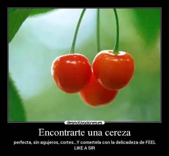 Encontrarte una cereza - perfecta, sin agujeros, cortes...Y comertela con la delicadeza de FEEL LIKE A SIR
