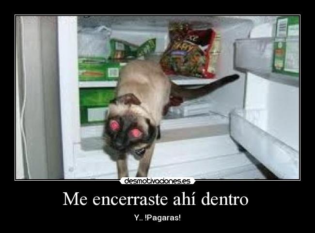 Me encerraste ahí dentro -