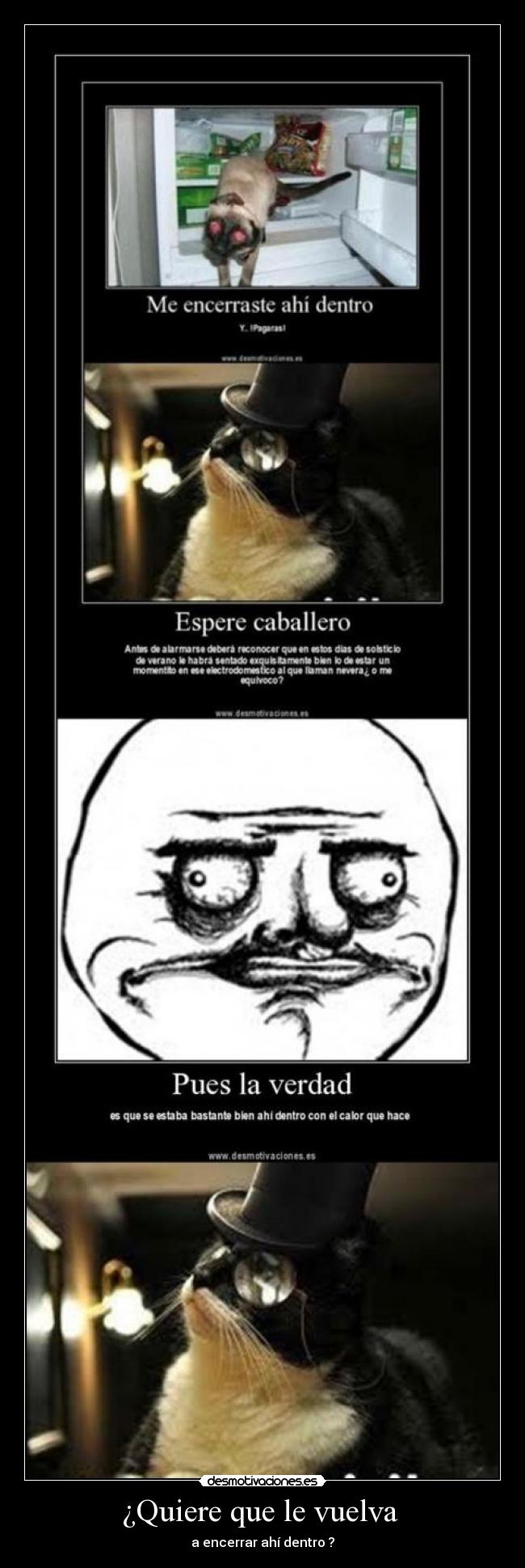 ¿Quiere que le vuelva -