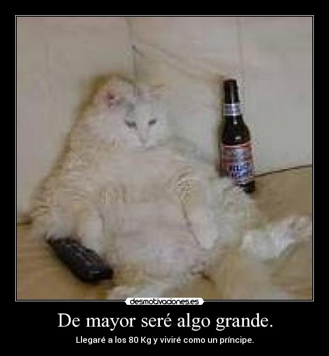 De mayor seré algo grande. -