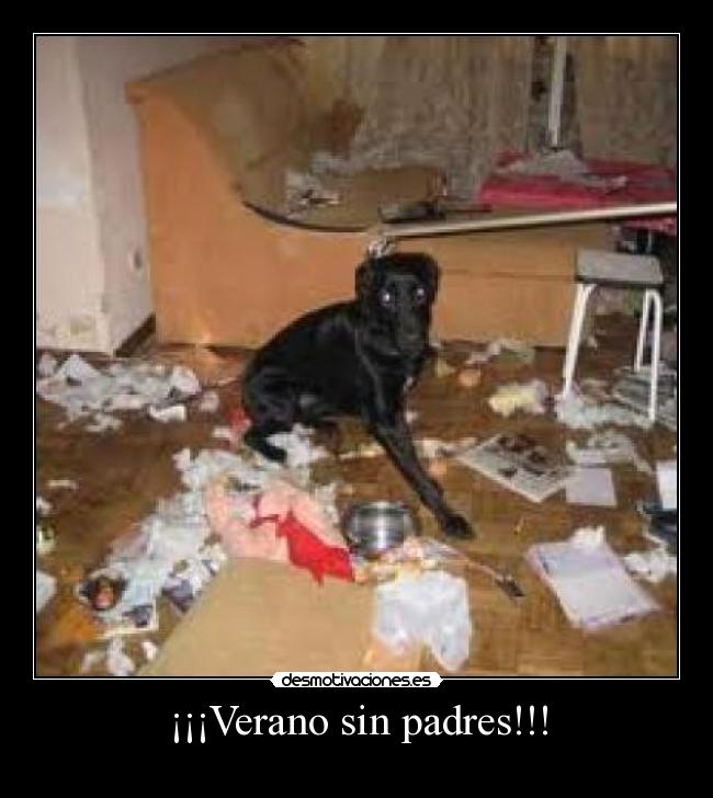 ¡¡¡Verano sin padres!!! -