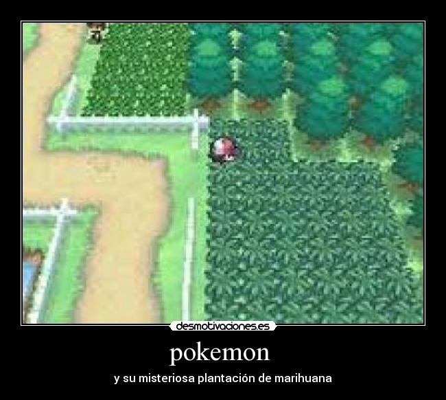 pokemon  - 