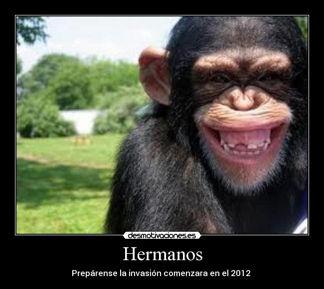 Hermanos - 